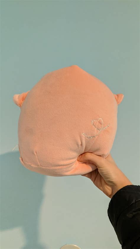 pablo squishmallow